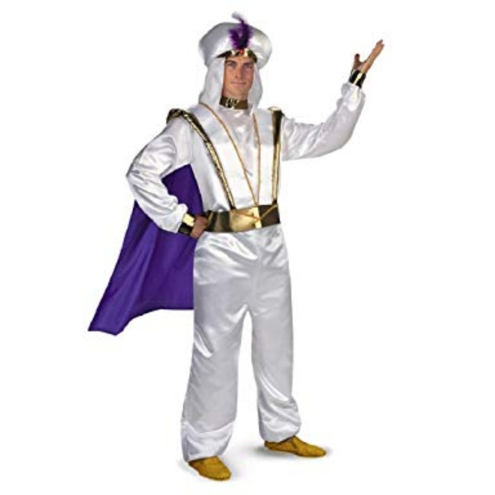 Aladdin costume